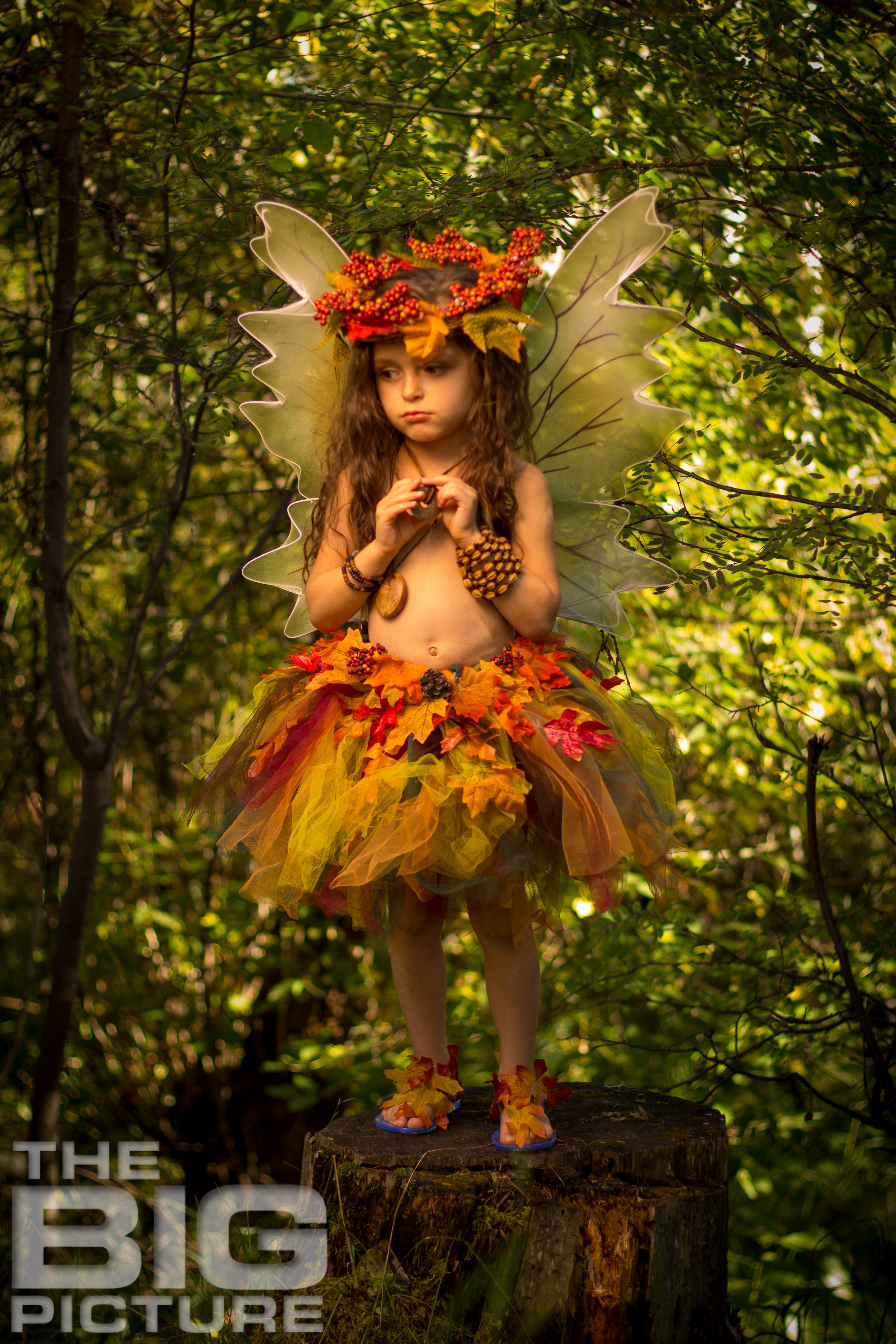photographing difficult children, learn children's photography, little girl dressed up as a fairy, fairy costume